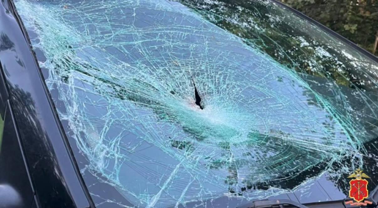 Фото: ГУ МВД России по г. СПб и ЛО