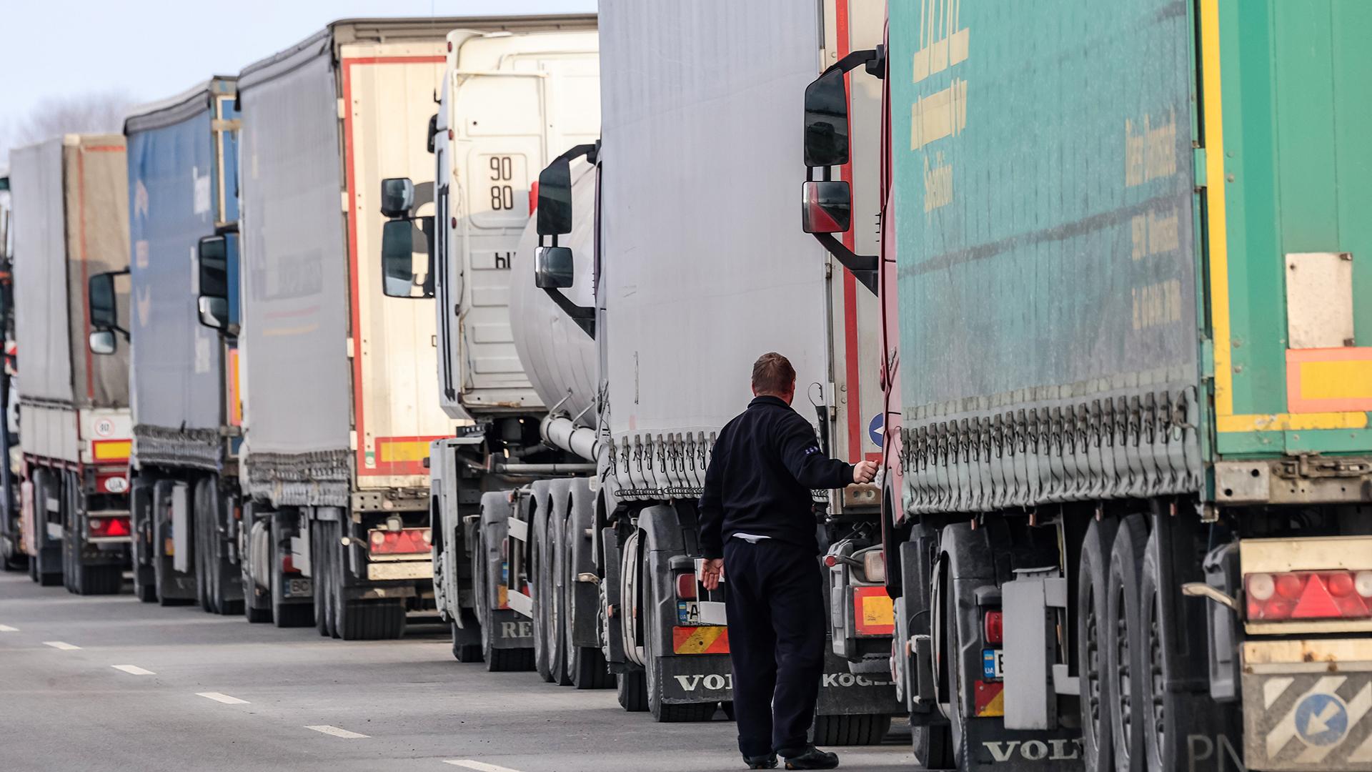 Фото: Dominika Zarzycka/globallookpress.com