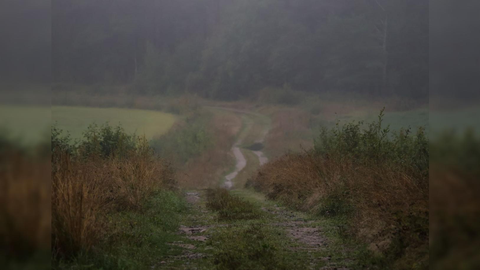 Фото: АстроФотоБолото