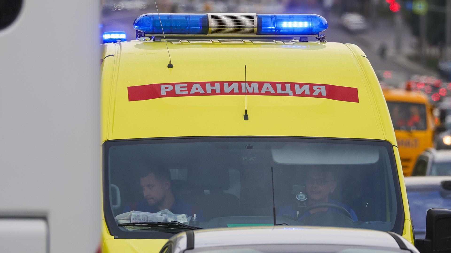 Фото: Shatokhina Natalia/globallookpress.com