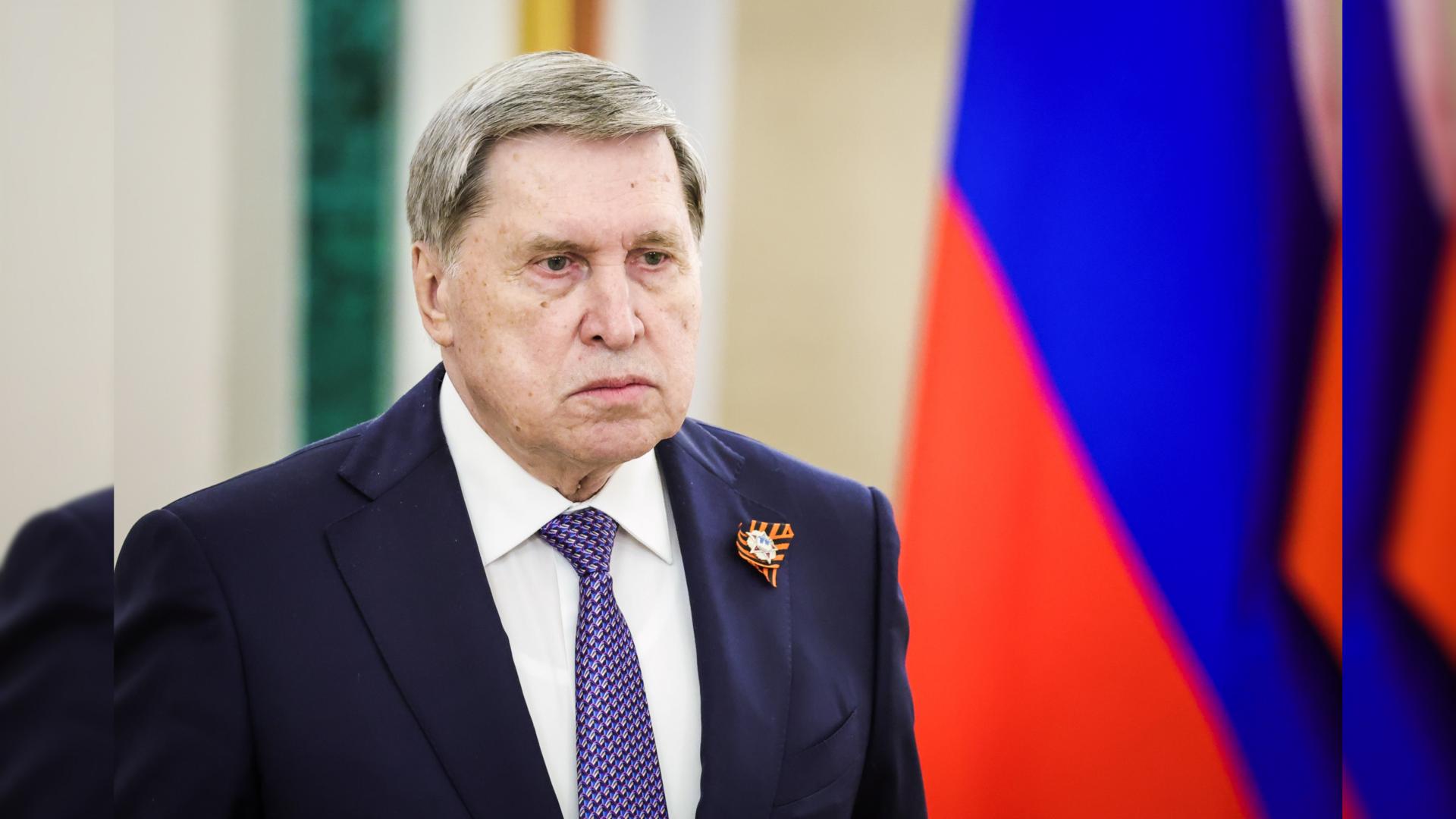 Фото: Roman Naumov/globallookpress.com