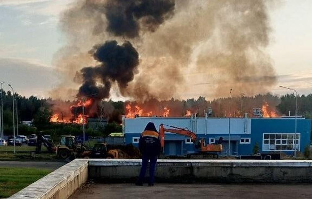 Фото: соцсети