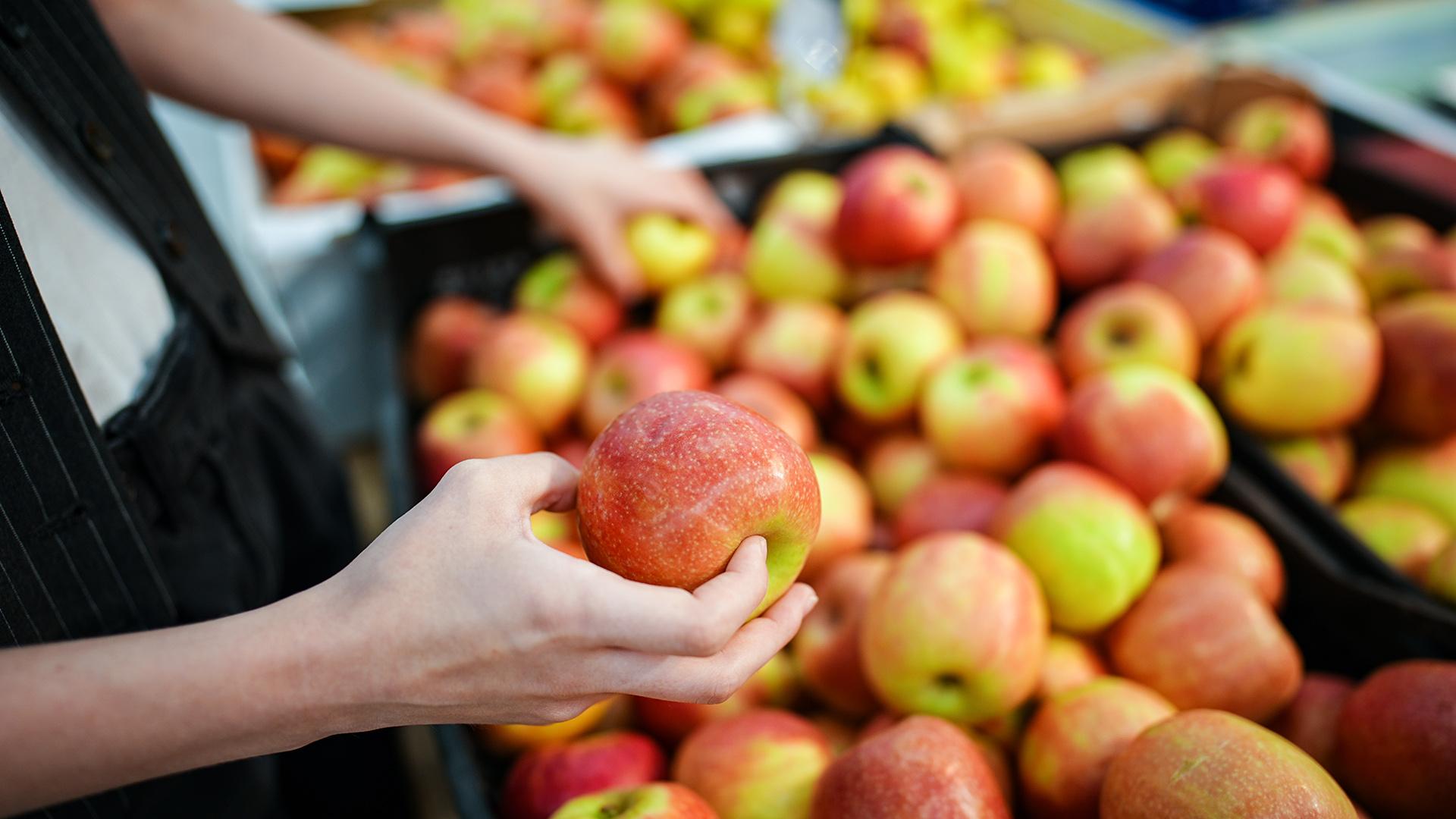 Фото: ИЗВЕСТИЯ/Сергей Лантюхов