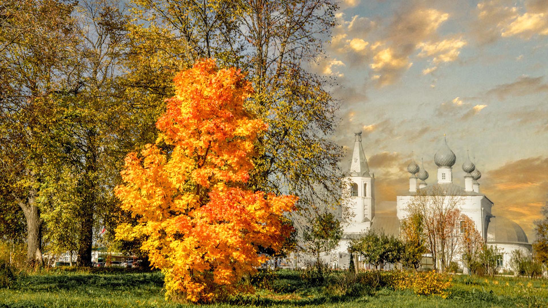 Фото: Sergey Metelitsa/globallookpress.com