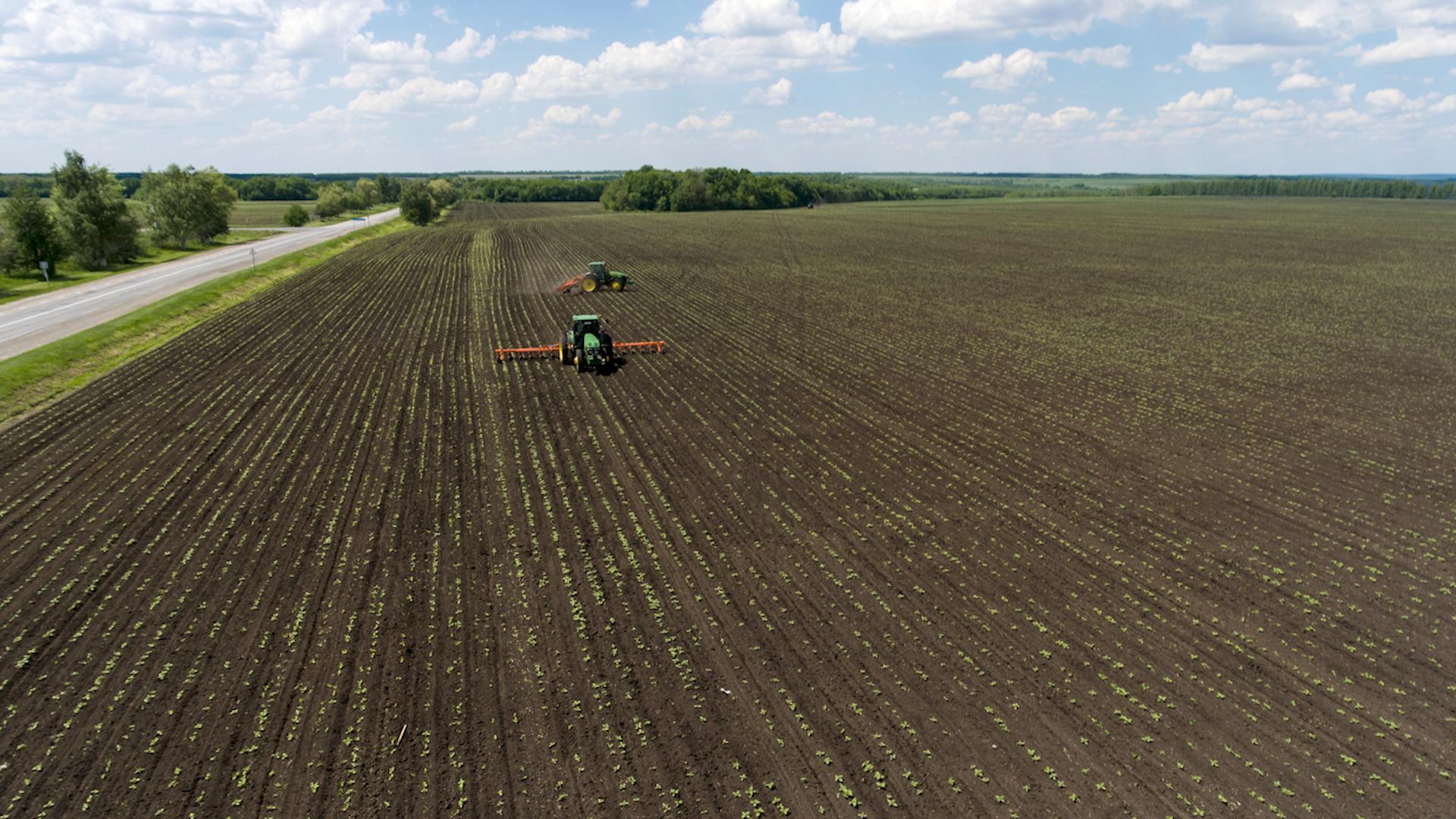 Фото: Nikolay Gyngazov/globallookpress.com