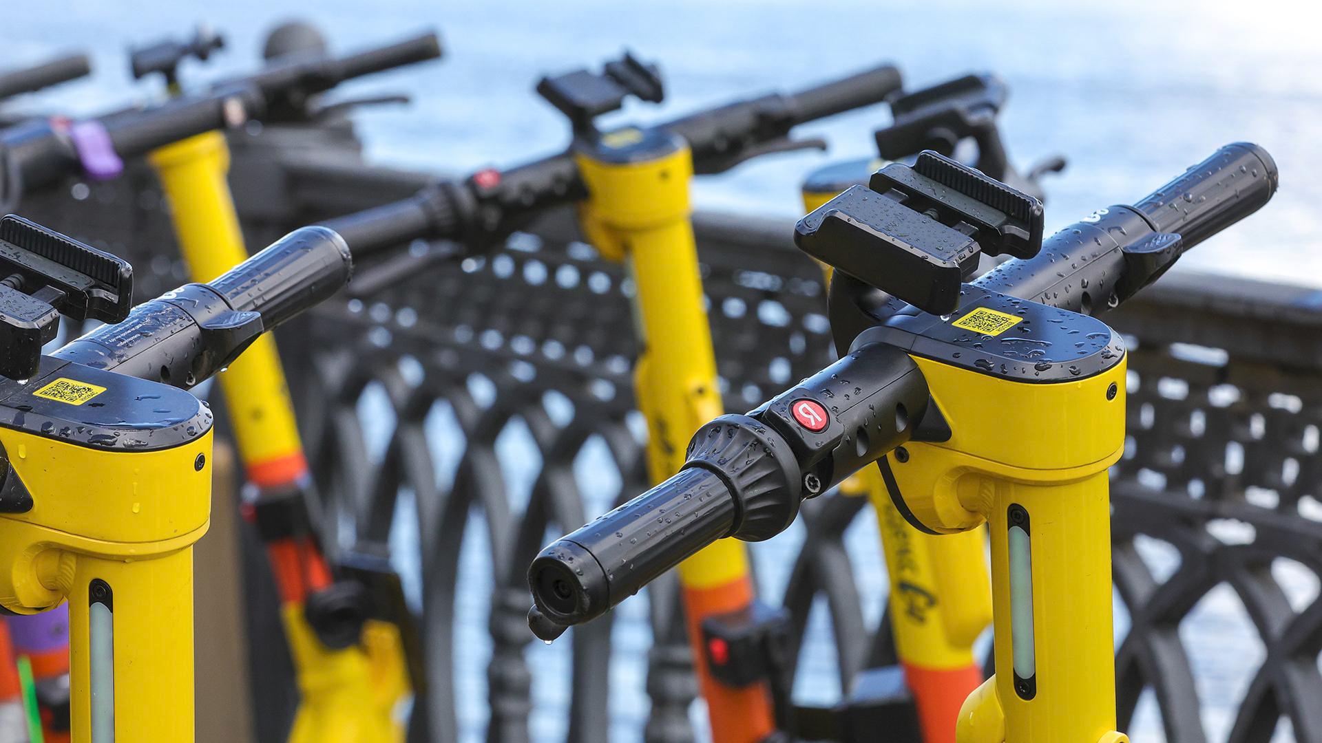 Фото: Shatokhina Natalia/globallookpress.com