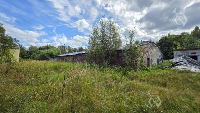 Фото: vk.com/kiospb