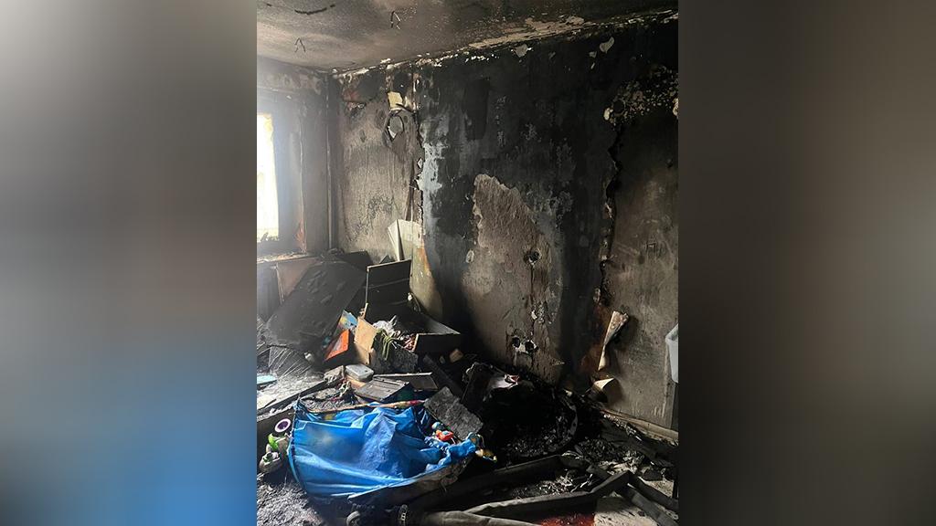 Фото: t.me/procspb