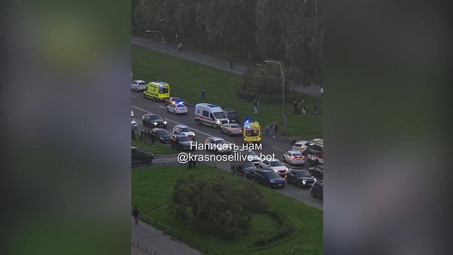 Фото: t.me/Красносельский район