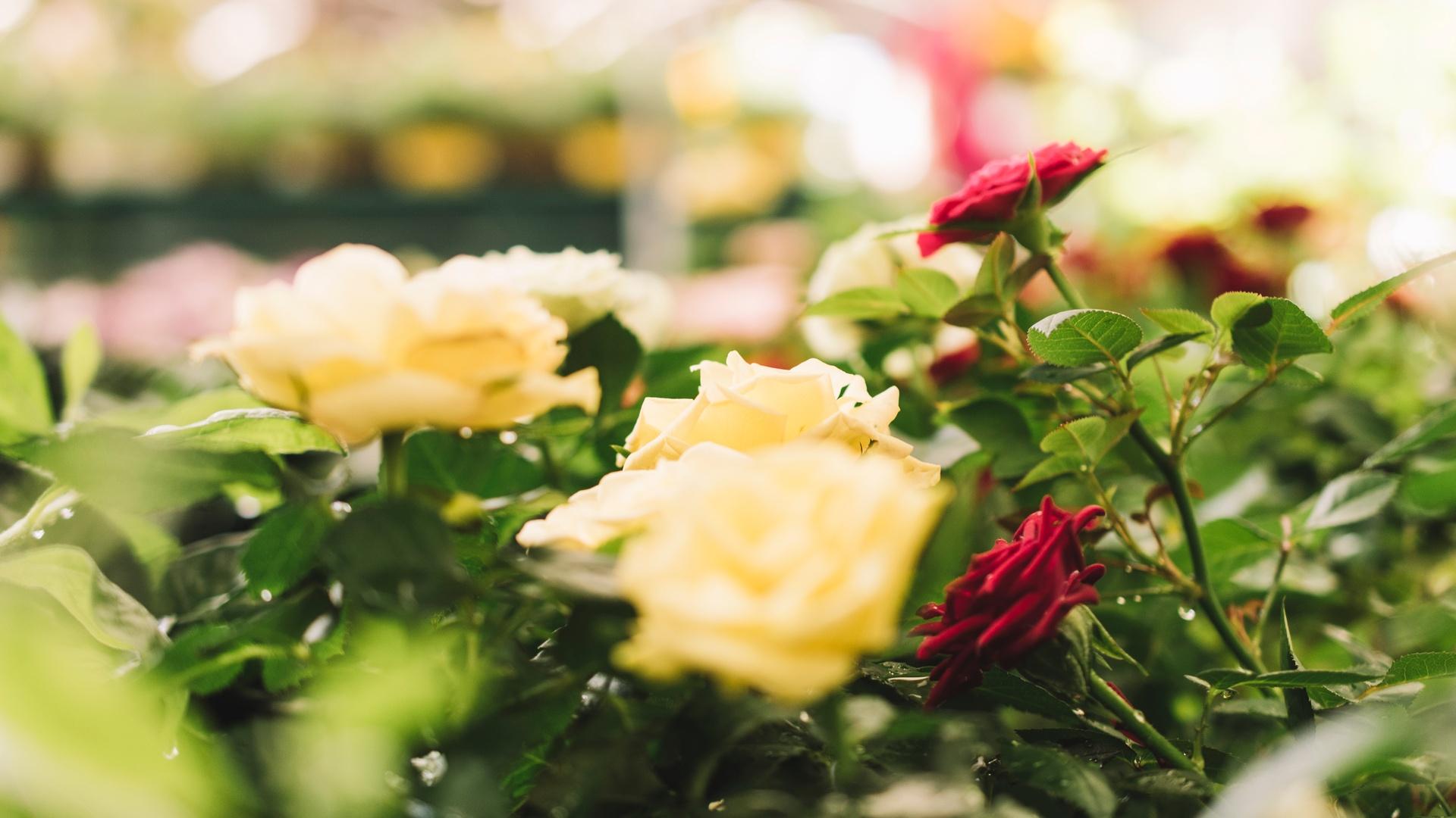 Фото: ru.freepik.com