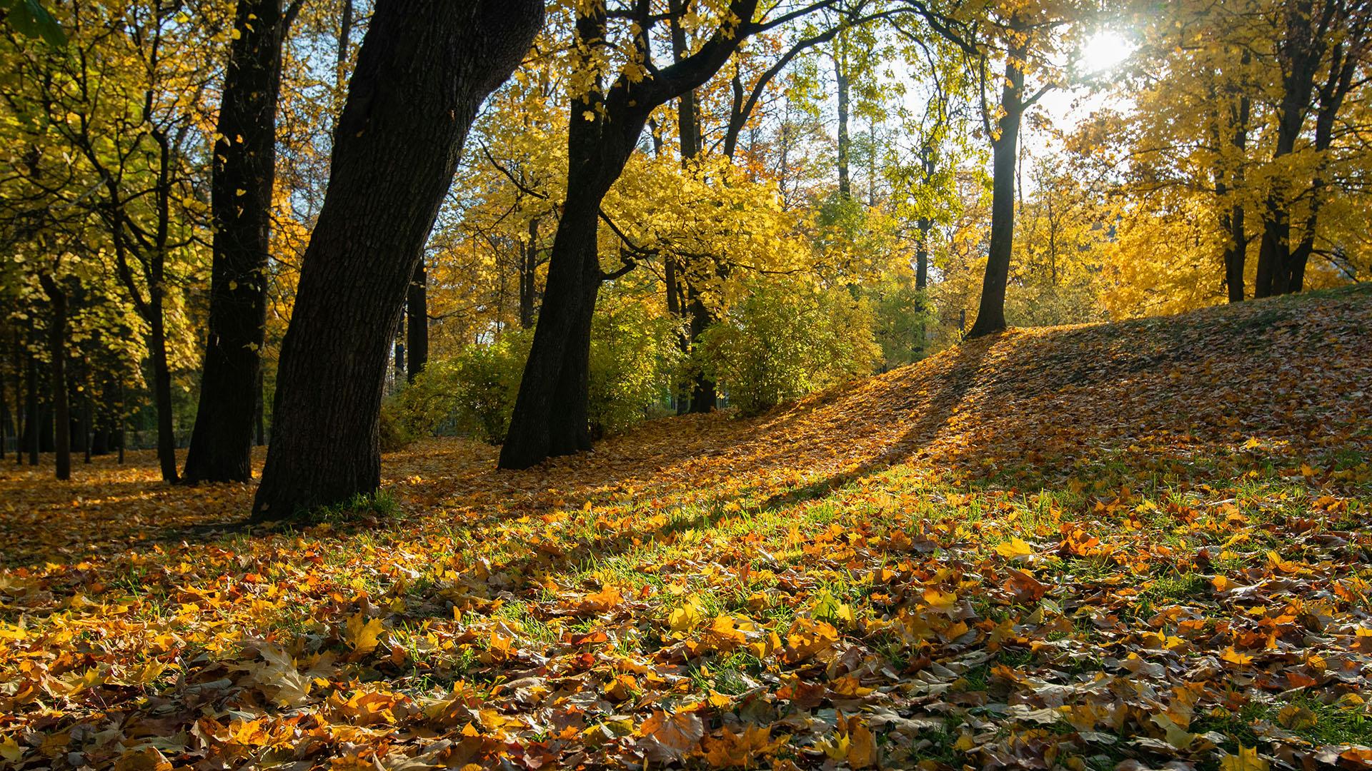 Фото: unsplash.com