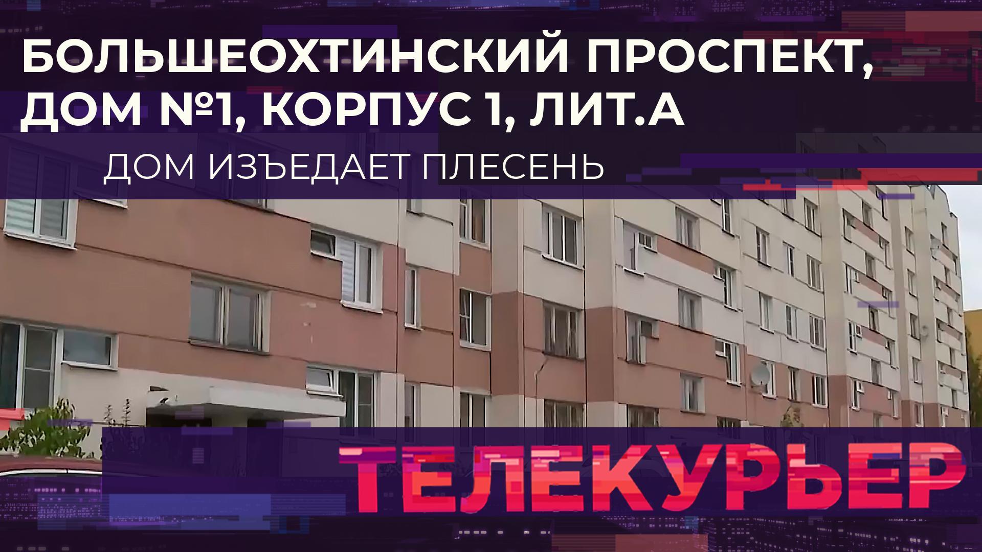 "Телекурьер" (22 сентября 2025)