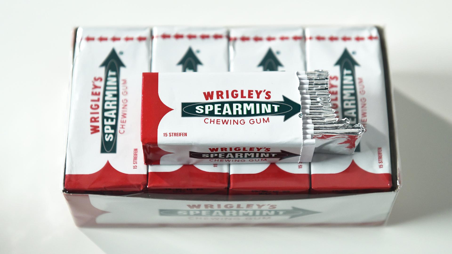 Фото: Jens Kalaene/ZB/globallookpress.com