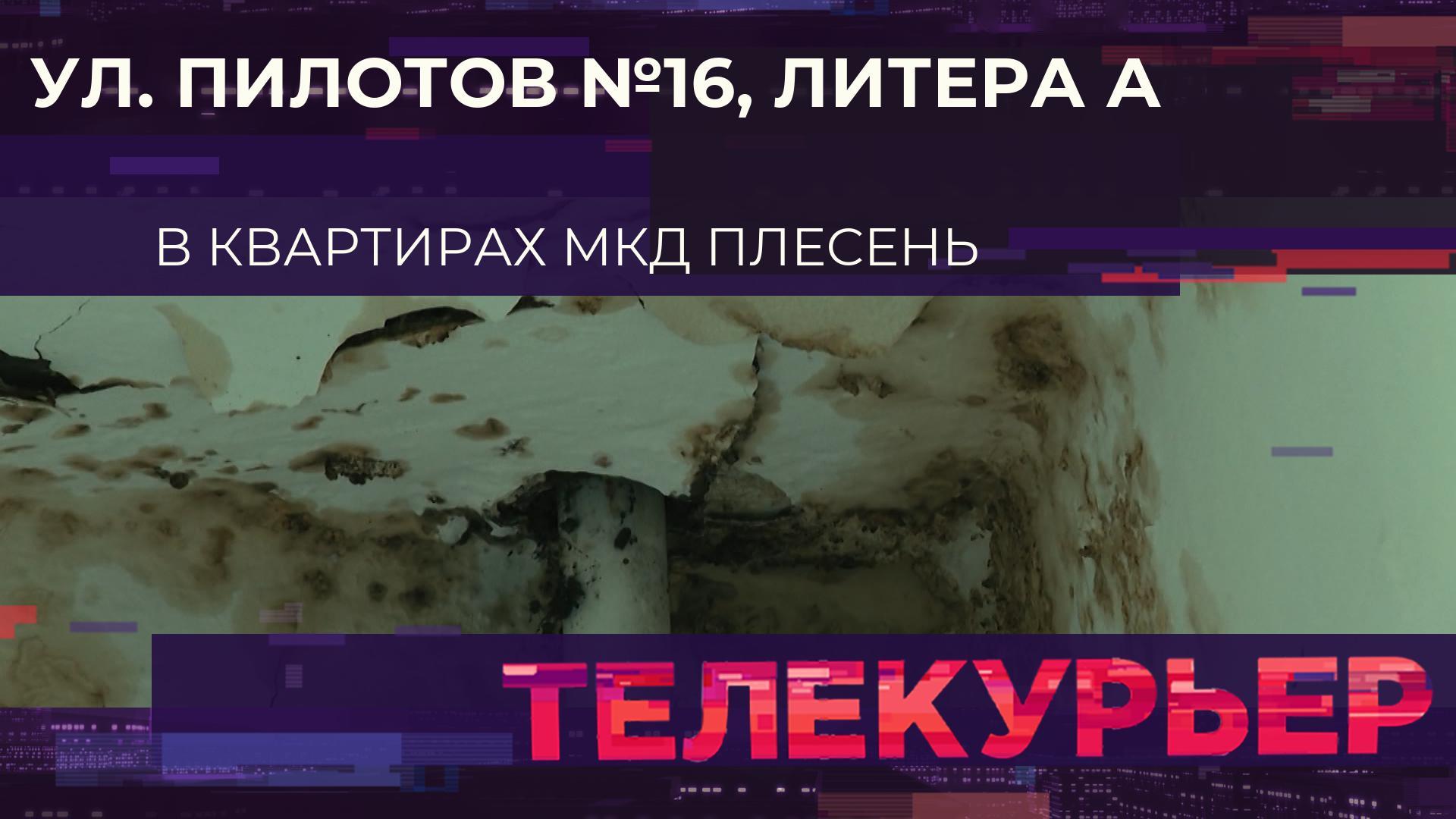"Телекурьер" (26 сентября 2025)