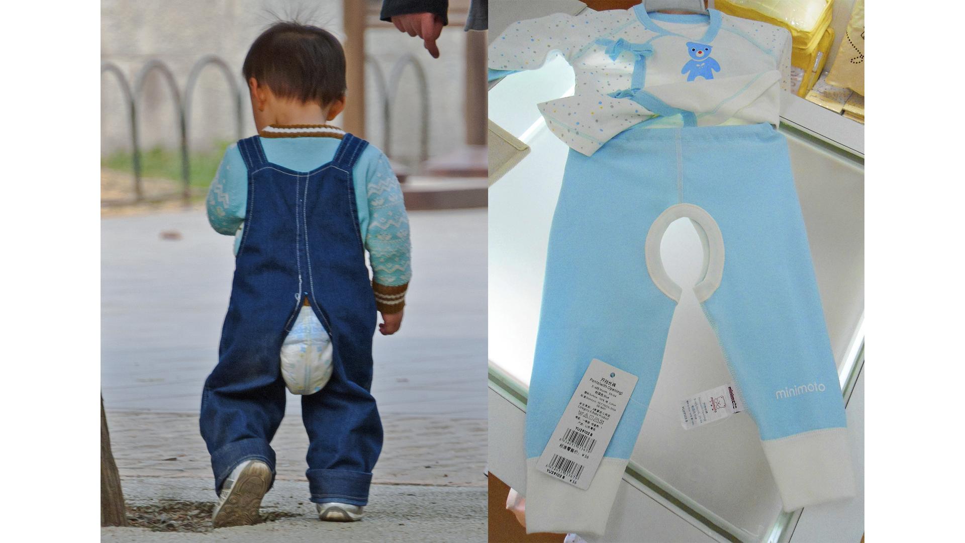 Фото: wikipedia.org/Daniel Case (CC BY-SA 3.0), Anna Frodesiak (CC0)