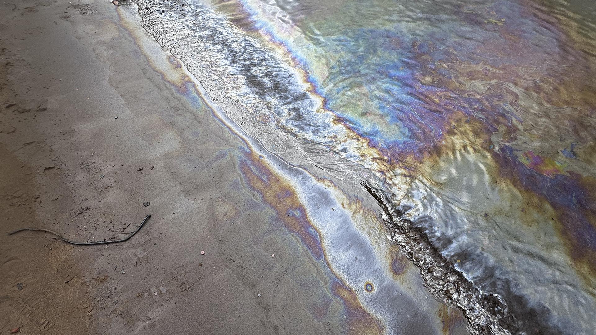 Фото: пресс-служба Росприроднадзора СЗФО