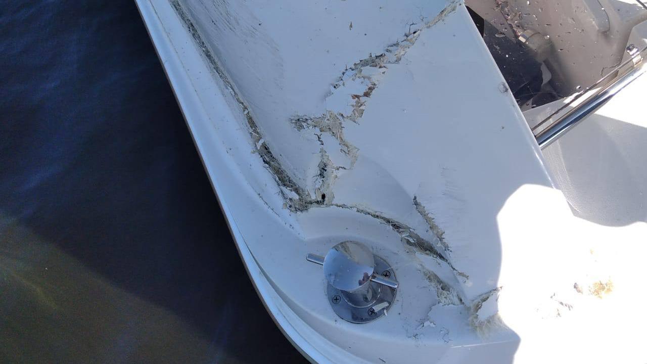 Фото: t.me/sztproc