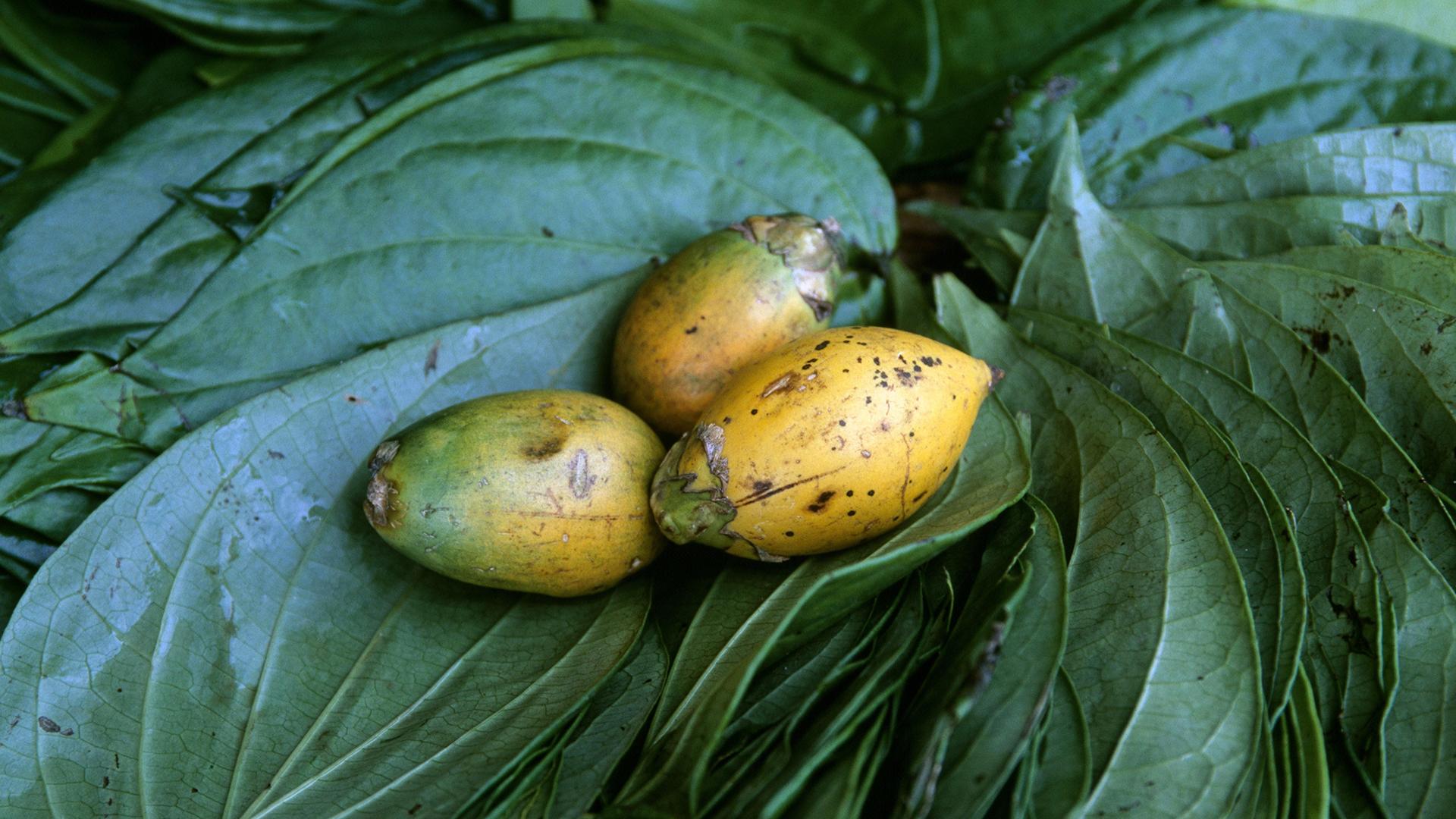 Фото: Katja Kreder/globallookpress.com