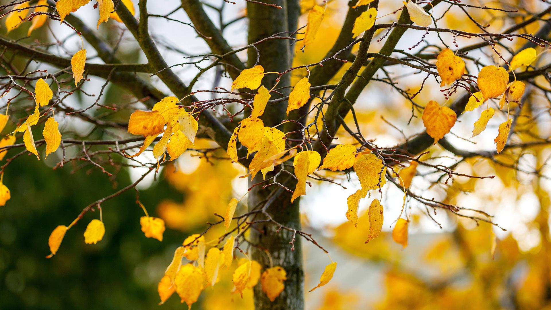 Фото: IMAGO/globallookpress.com