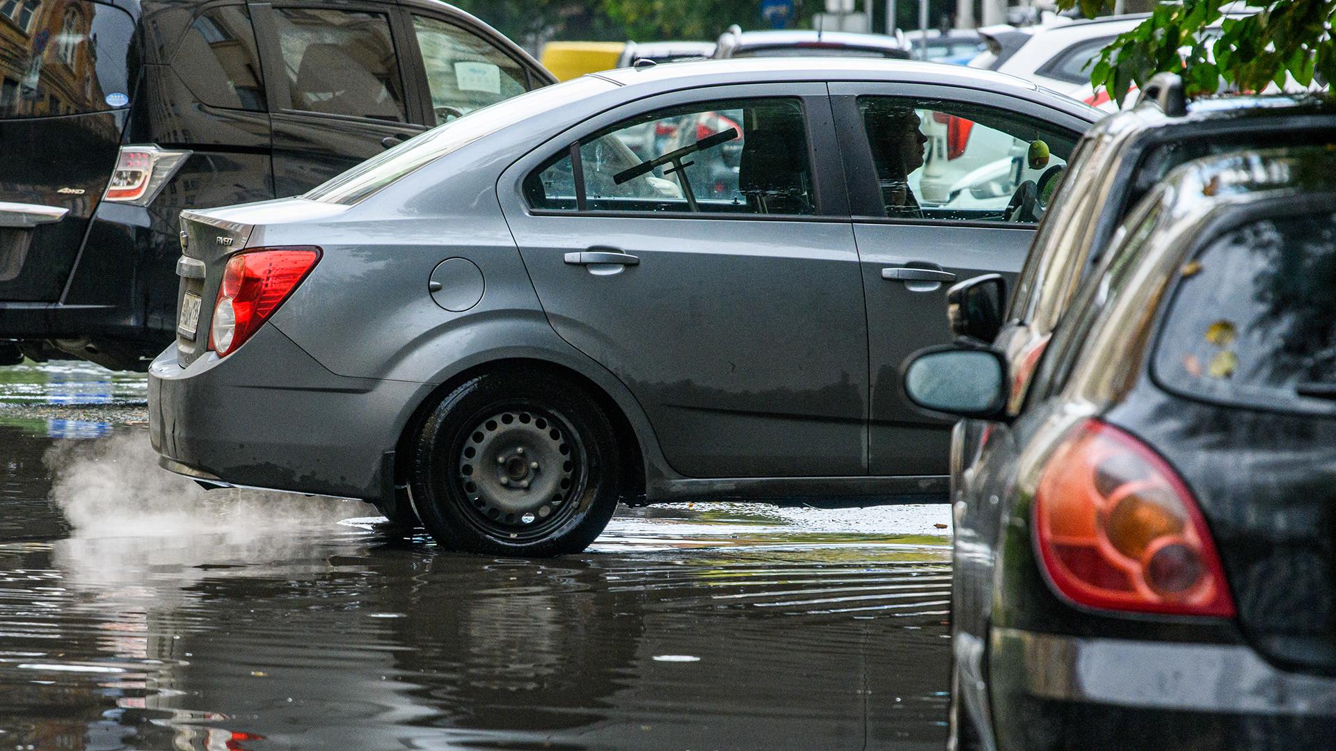 Фото: Ilya Moskovets/globallookpress.com