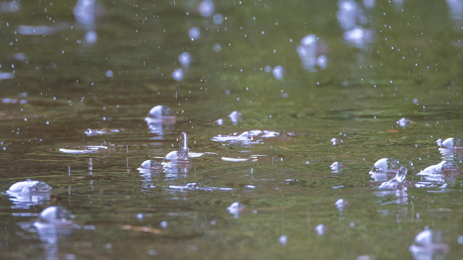 Фото: Frank Hammerschmidt/globallookpress.com