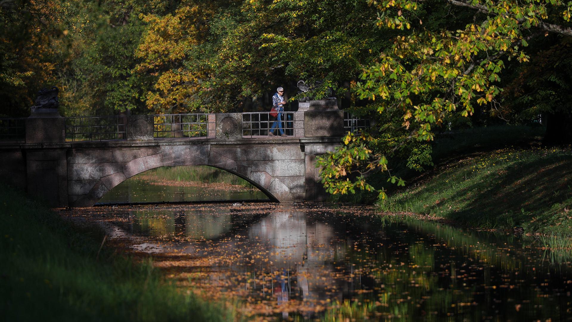 Фото: ИЗВЕСТИЯ/Сергей Коньков