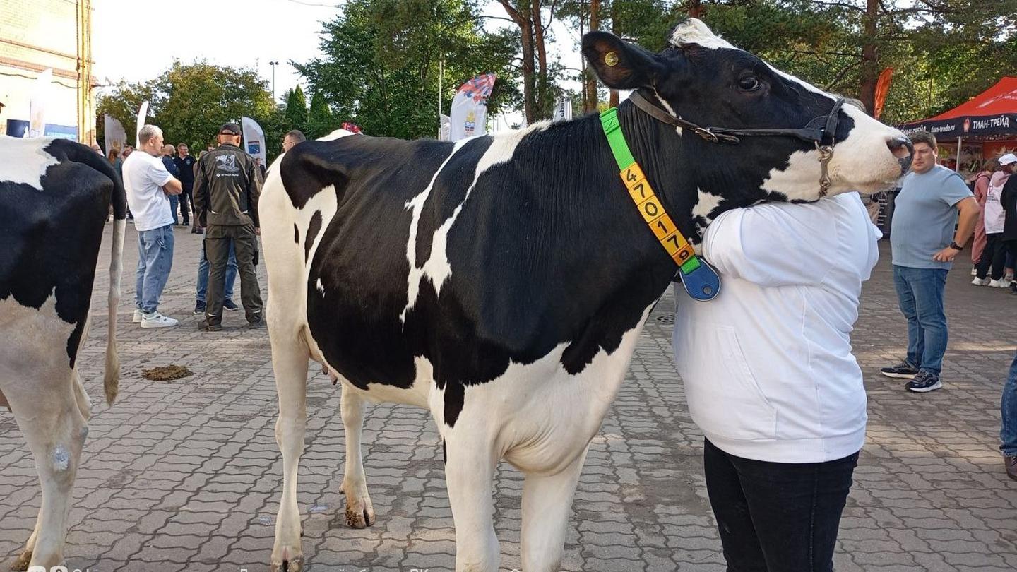 Фото: vk.com/pravitelstvo_lenobl