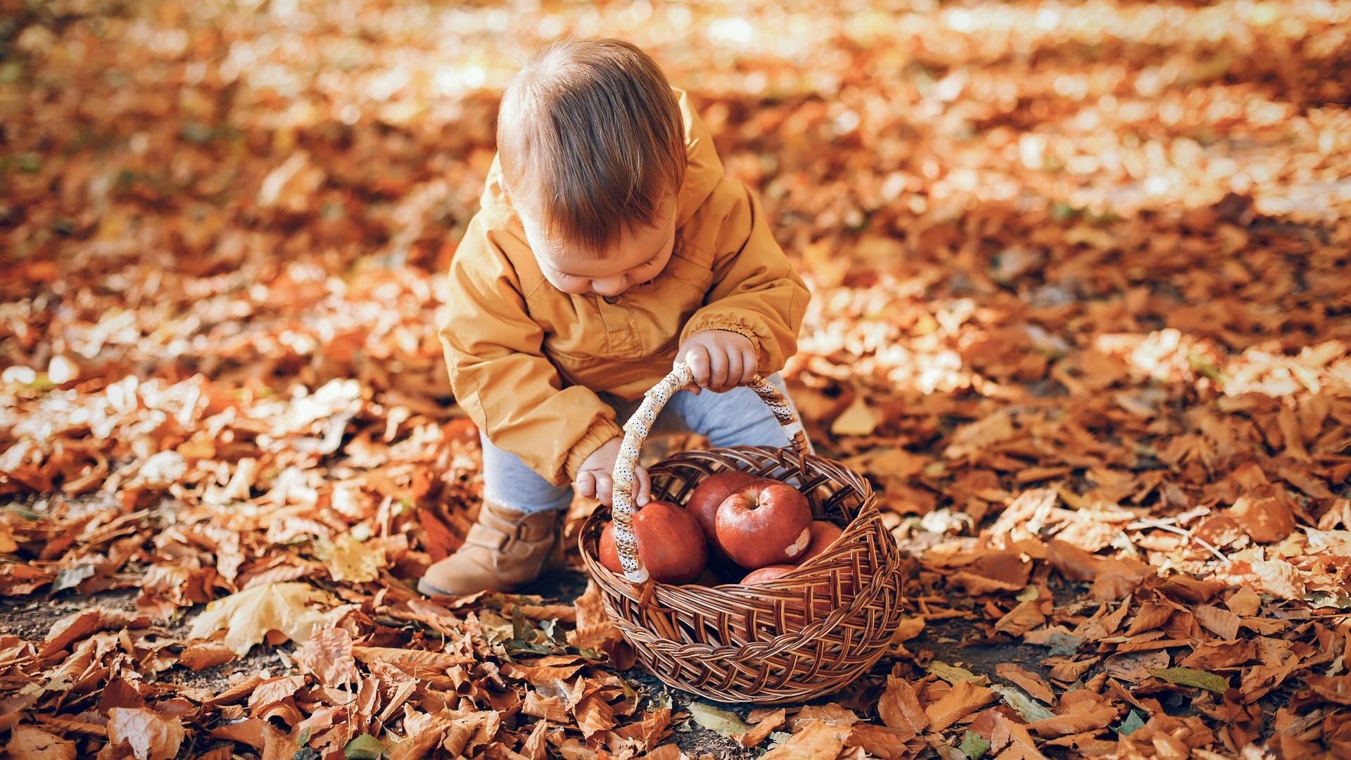 Фото: ru.freepik.com