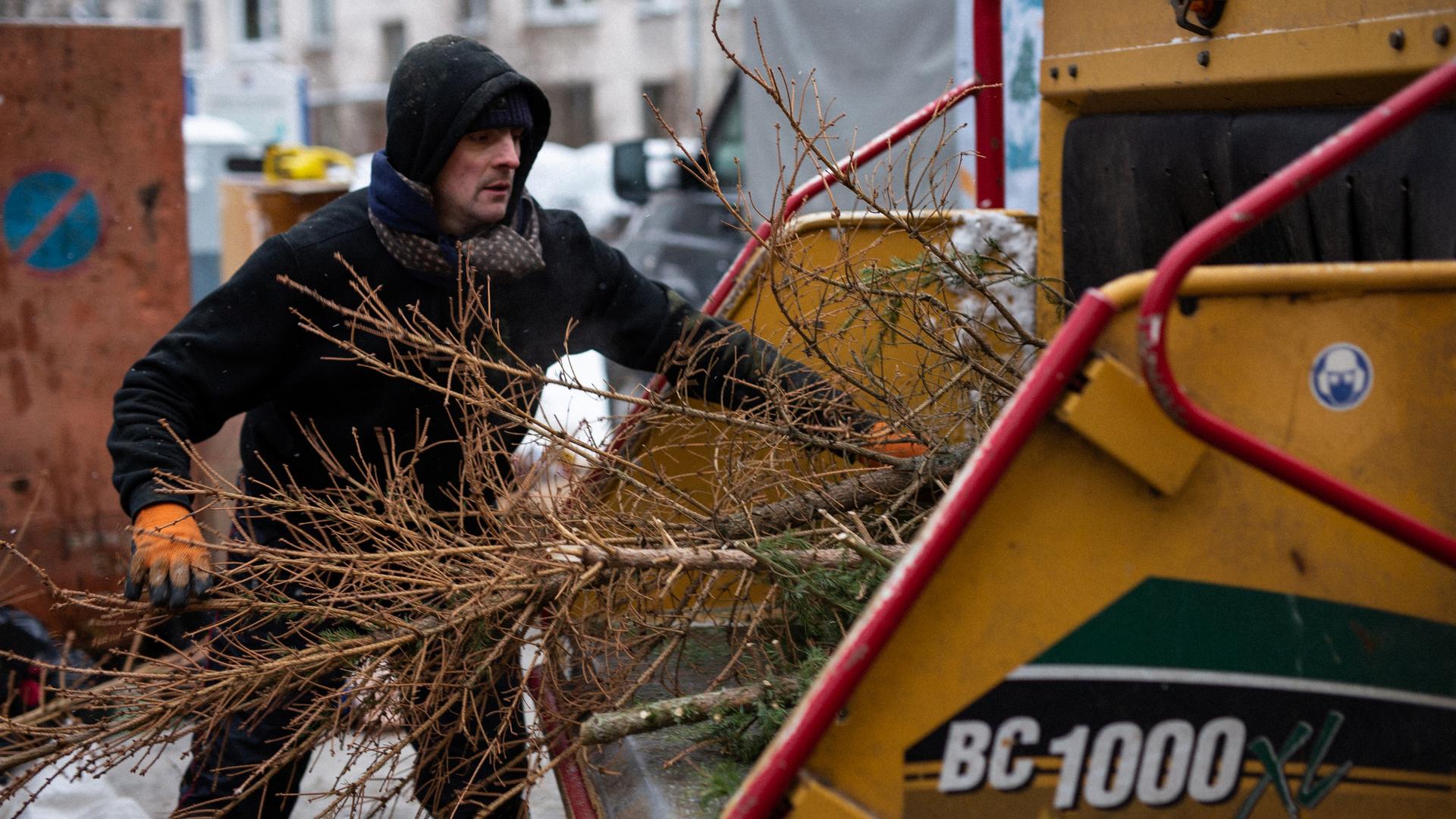 Фото: vk.com/elki_palki_zchepa