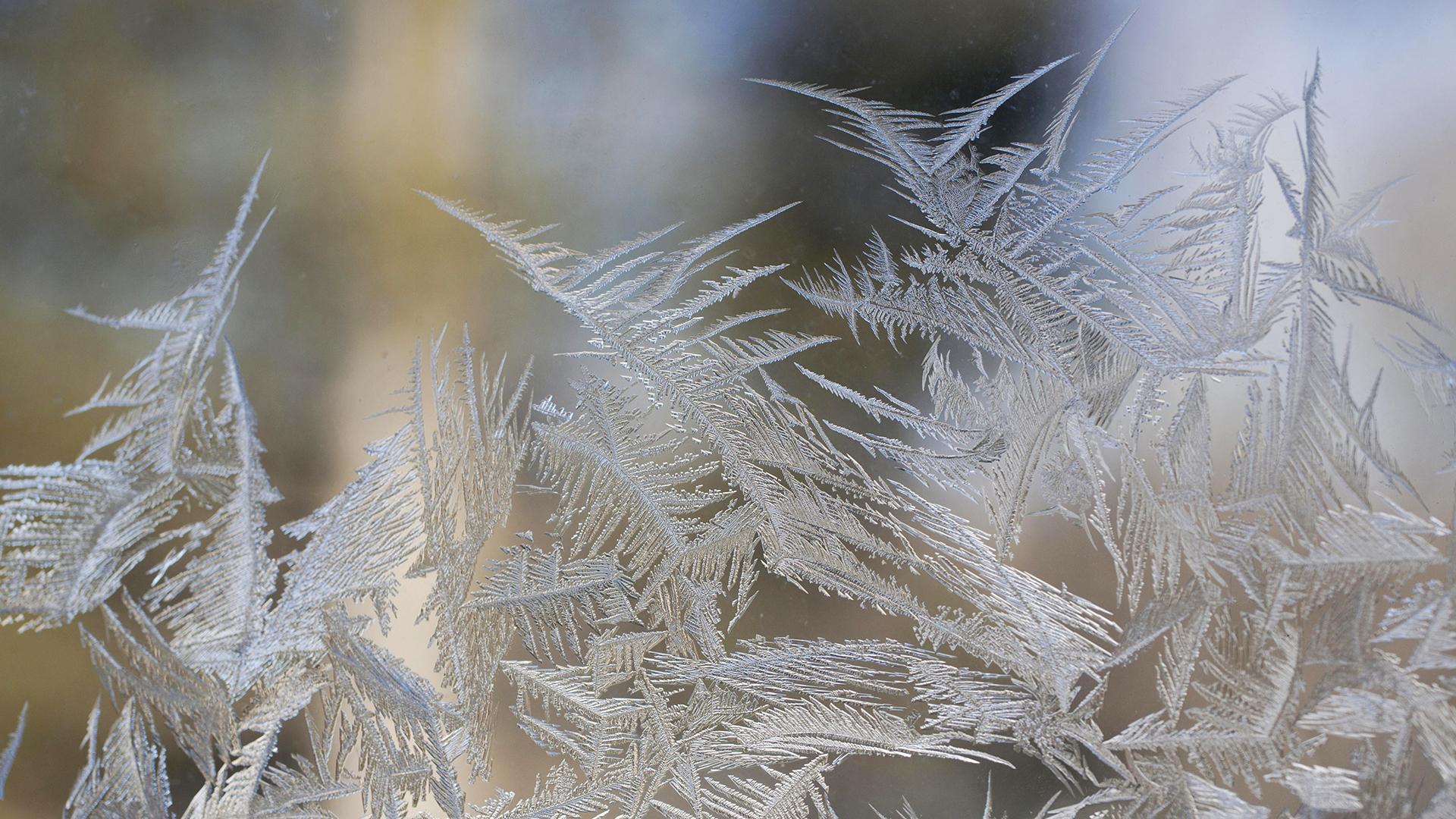 Фото: David Chapman/globallookpress.com