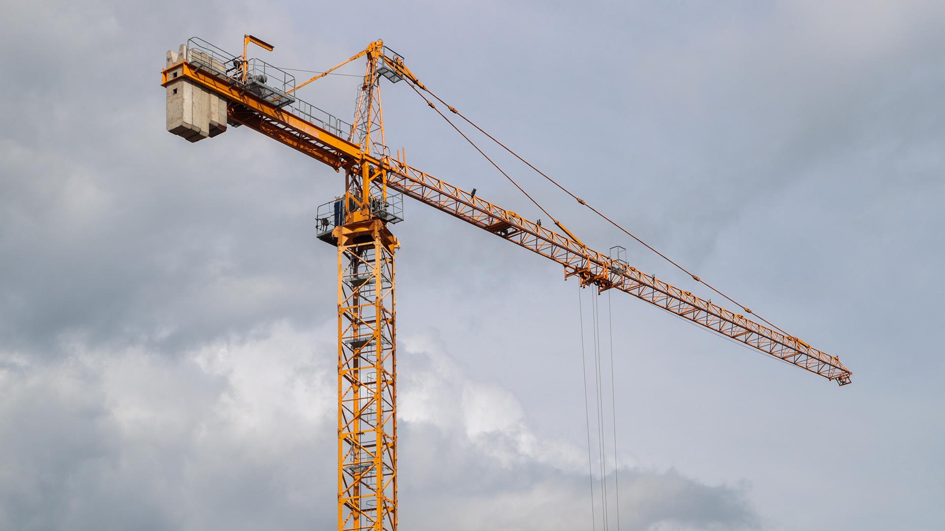 Фото: Belkin Alexey/globallookpress.com