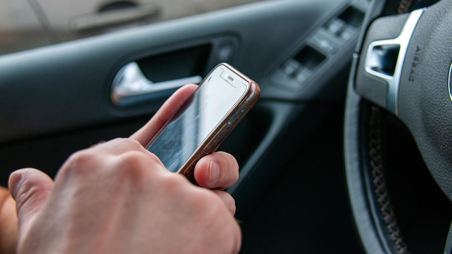 Фото: Svetlana Vozmilova/globallookpress.com