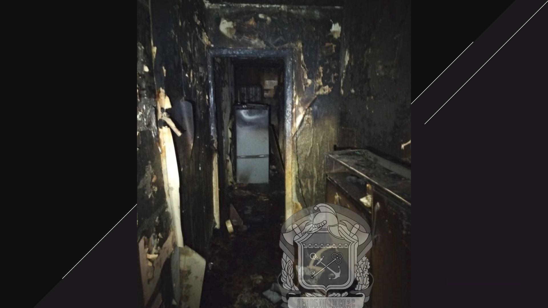 Фото: МЧС ЛО