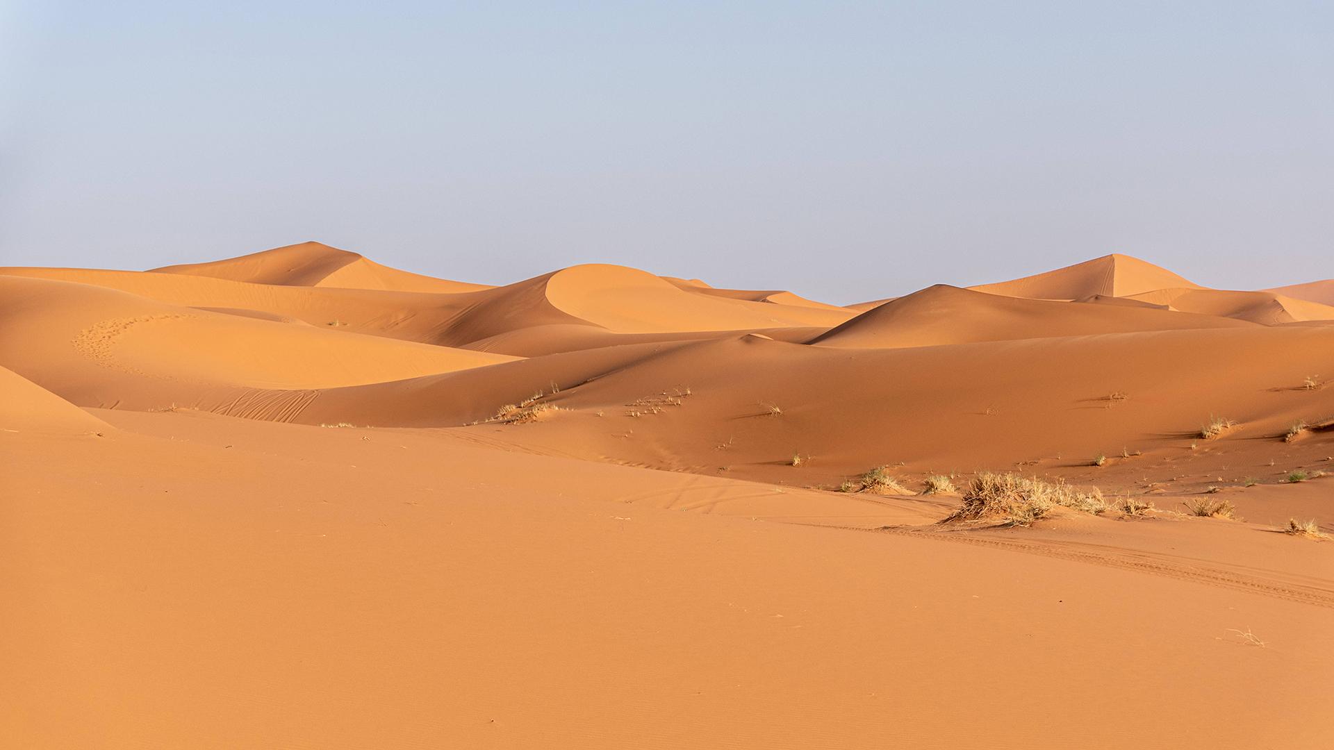 Фото: Zoonar.com/imagoDens/globallookpress.com