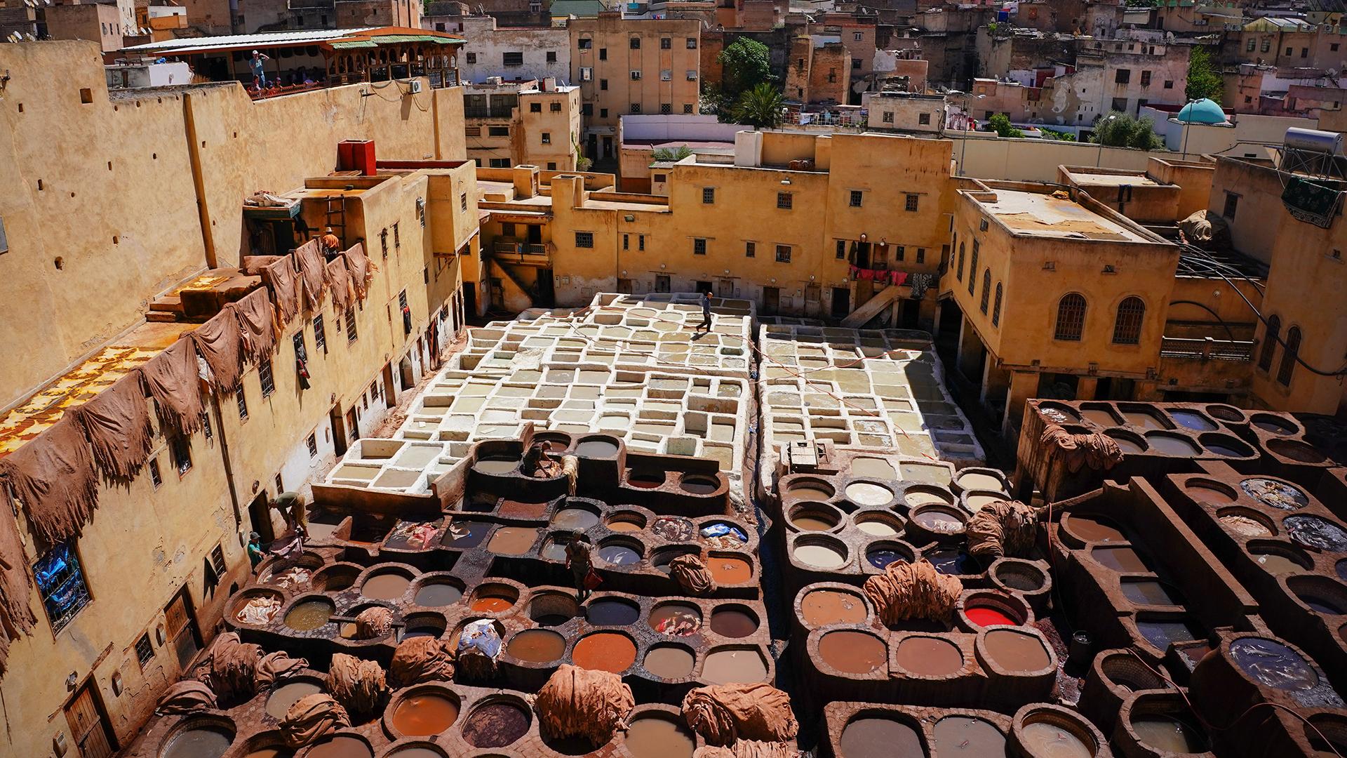 Фото: Jasmine Leung/globallookpress.com