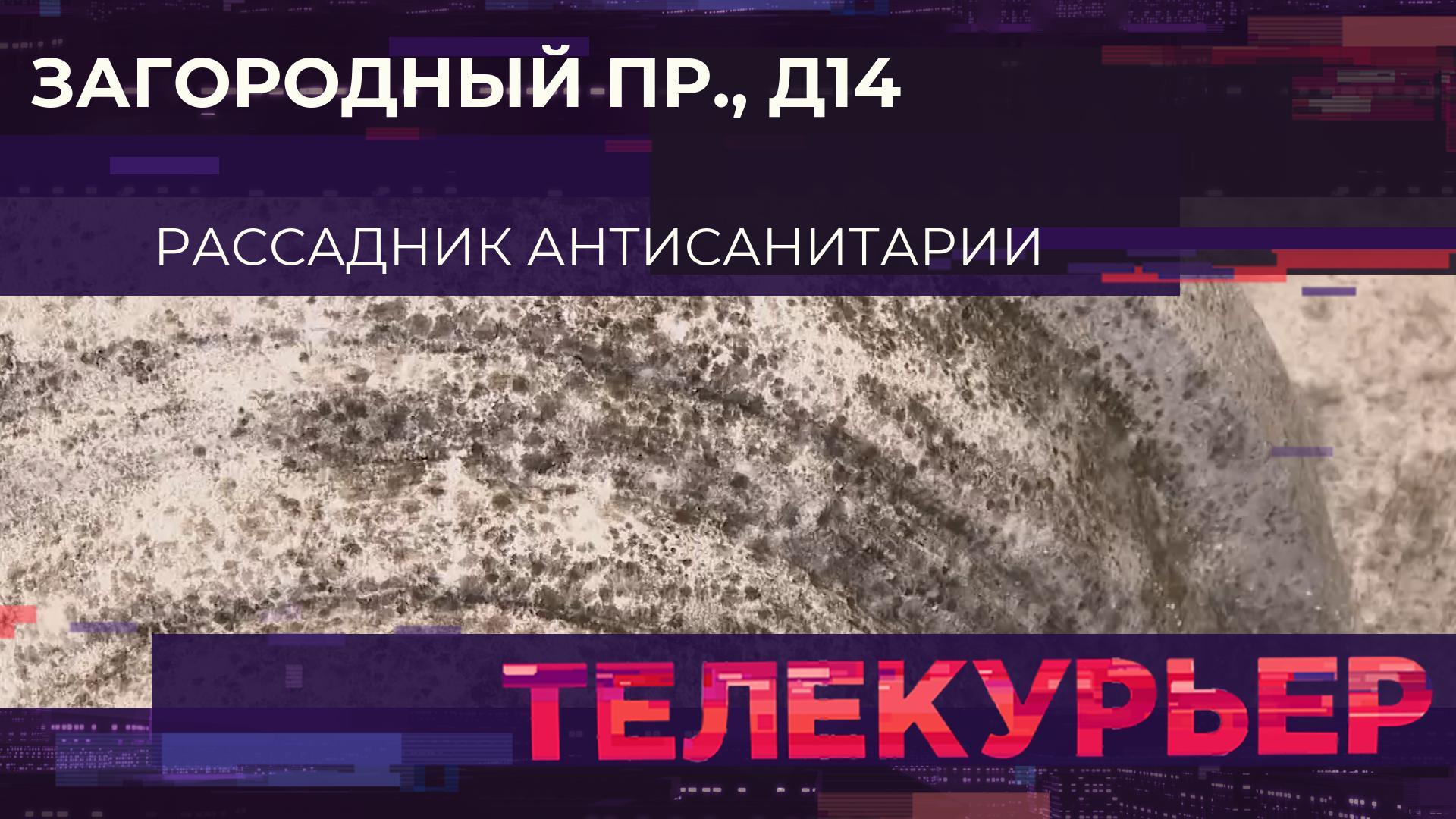 Телекурьер (22 января 2026)