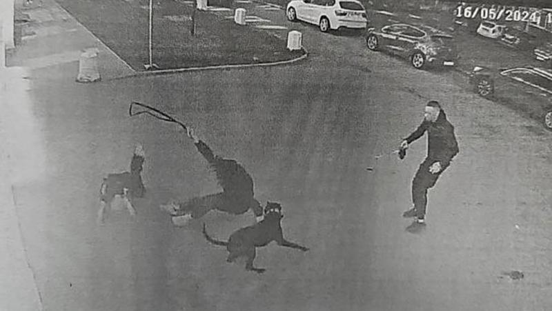 Фото: t.me/SPbGS