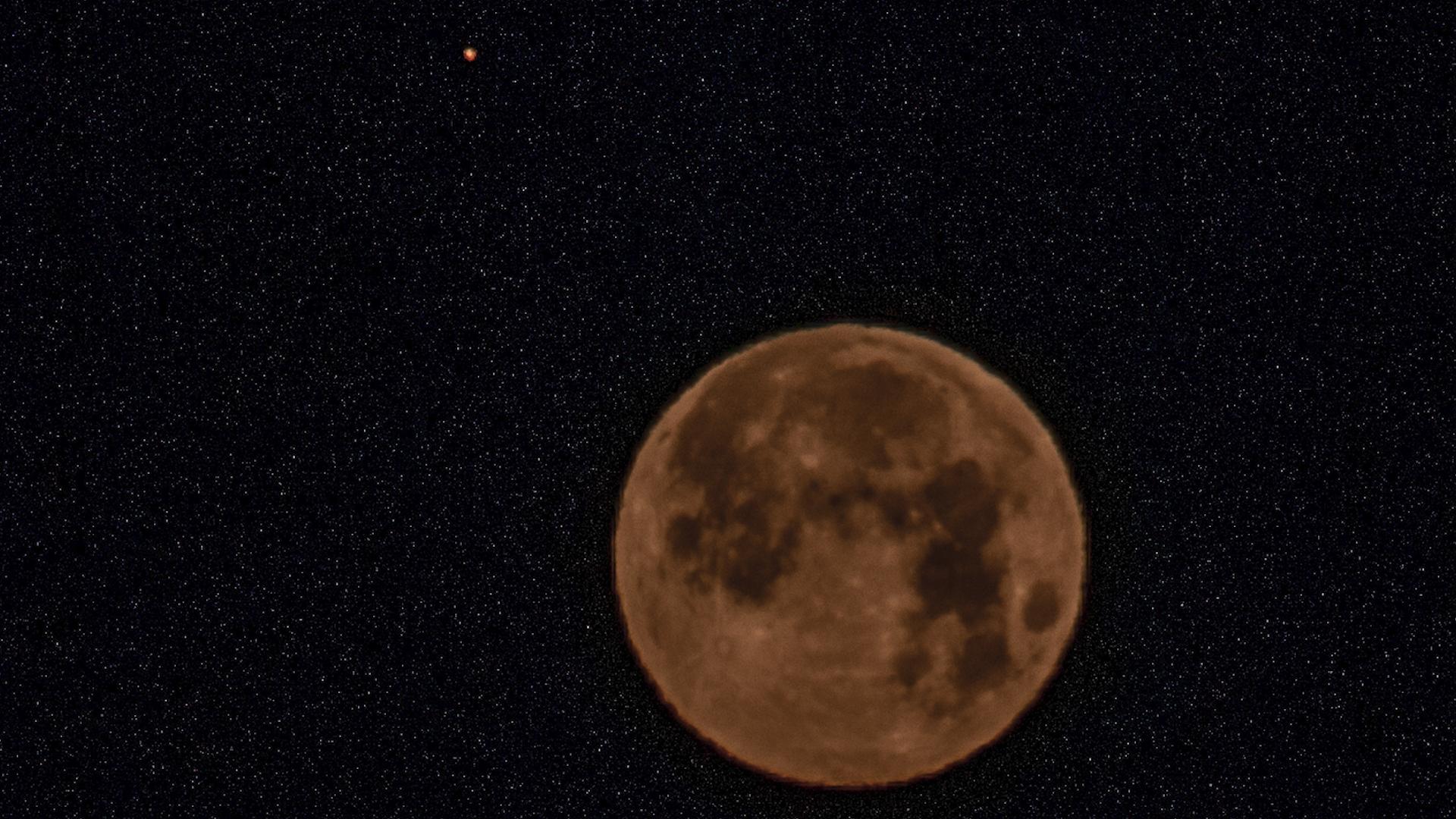 Фото:  Svetlana Vozmilova/globallookpress.com