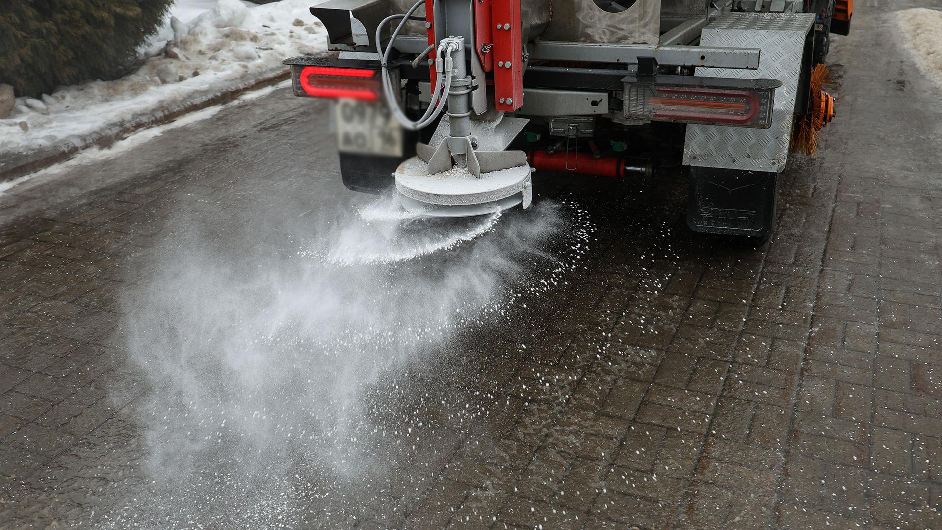 Фото: Andrey Titov/globallookpress.com