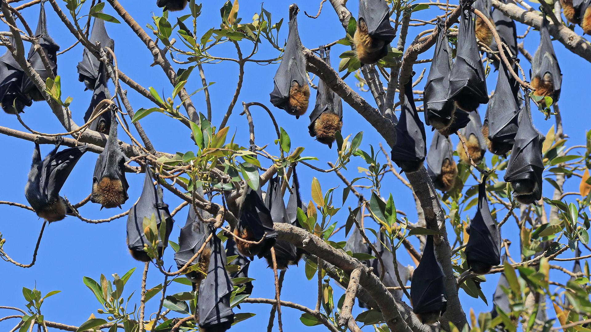 Фото: Jürgen & Christine Sohns/globallookpress.com