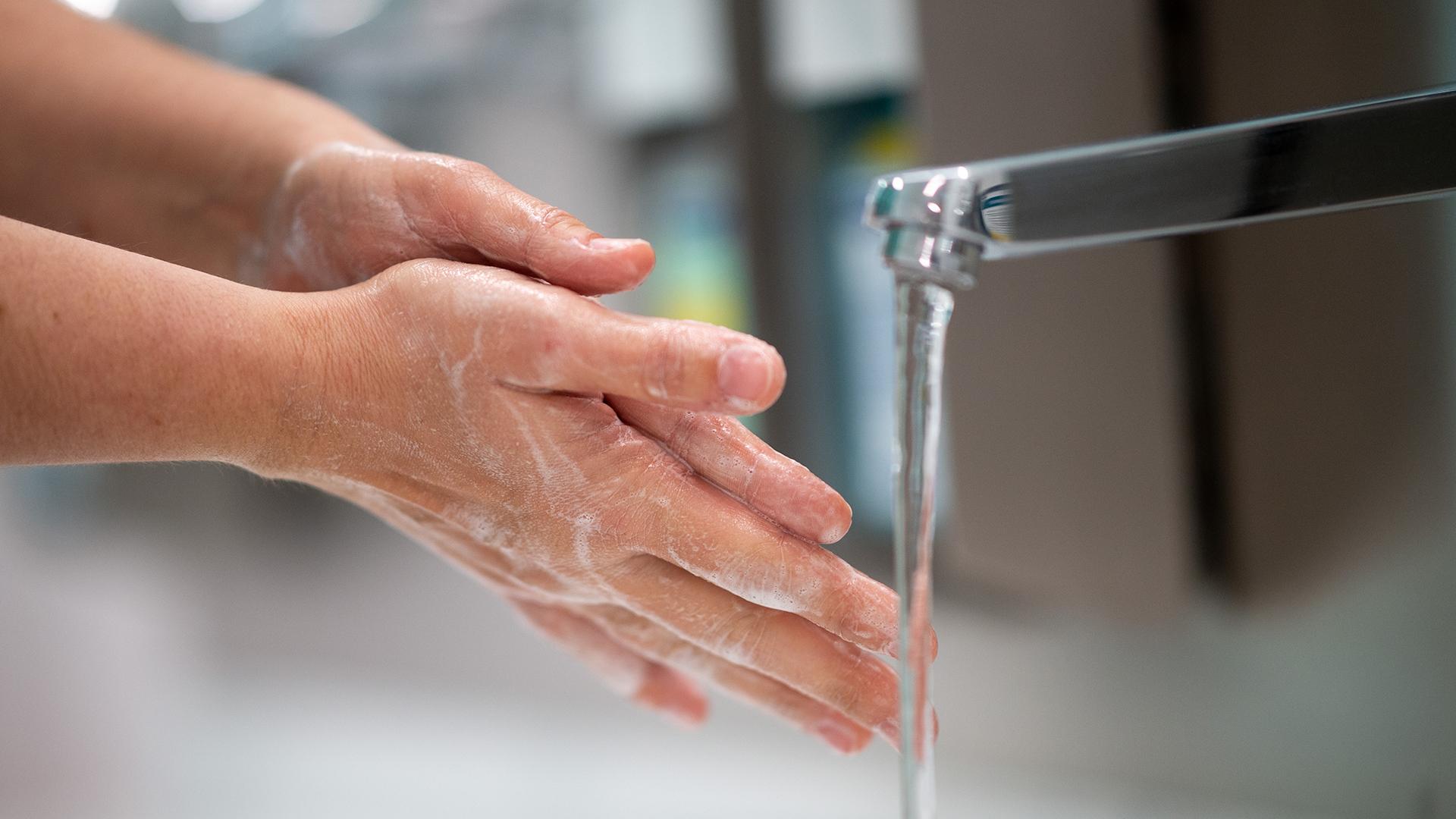 Фото: Jonas Güttler/globallookpress.com