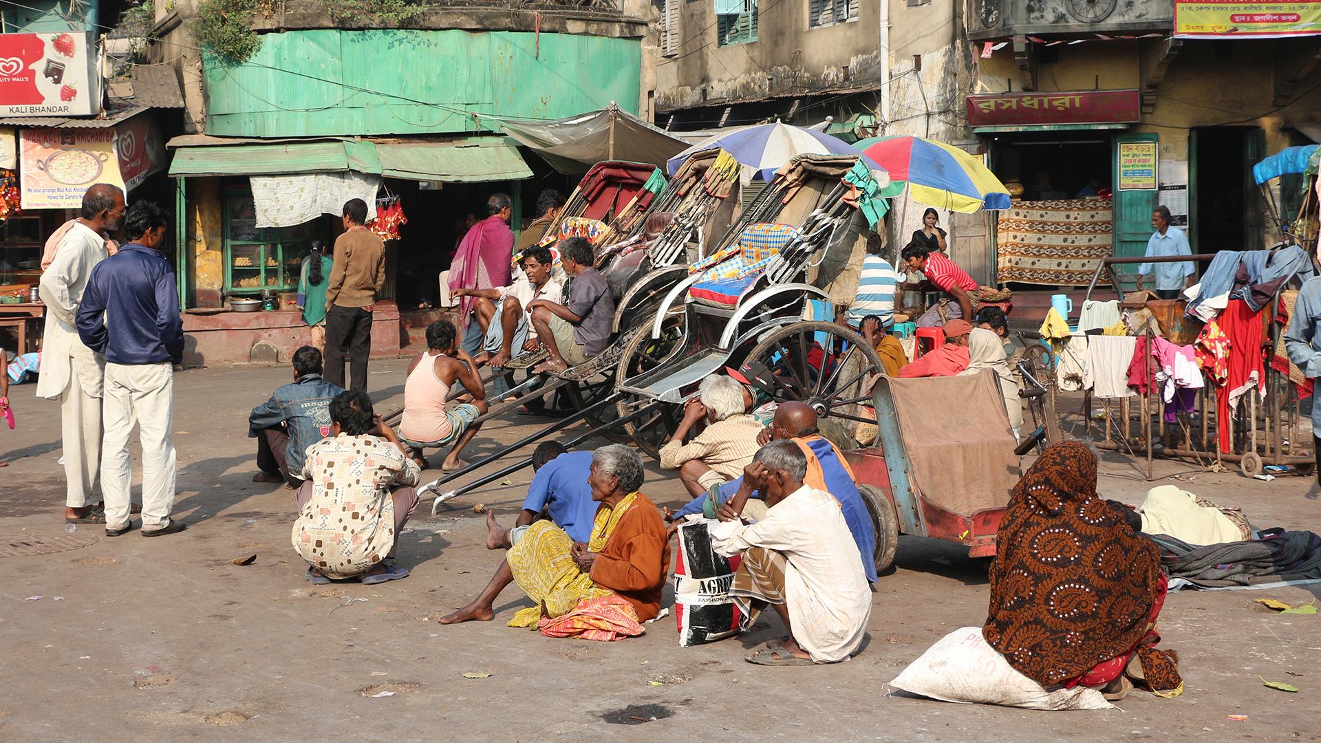 Фото: wikimedia.org/Bernard Gagnon; CC BY-SA 3.0