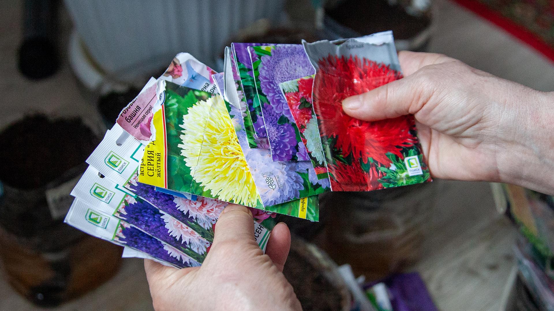 Фото: Oksana Korol/globallookpress.com