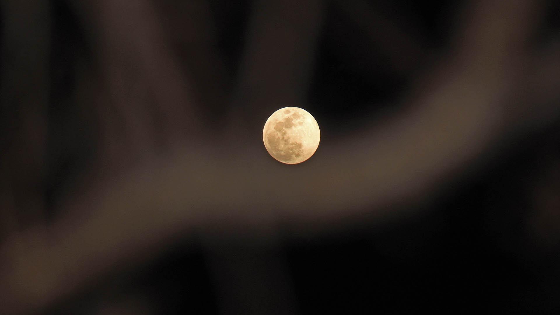 Фото: Danish Showkat/globallookpress.com