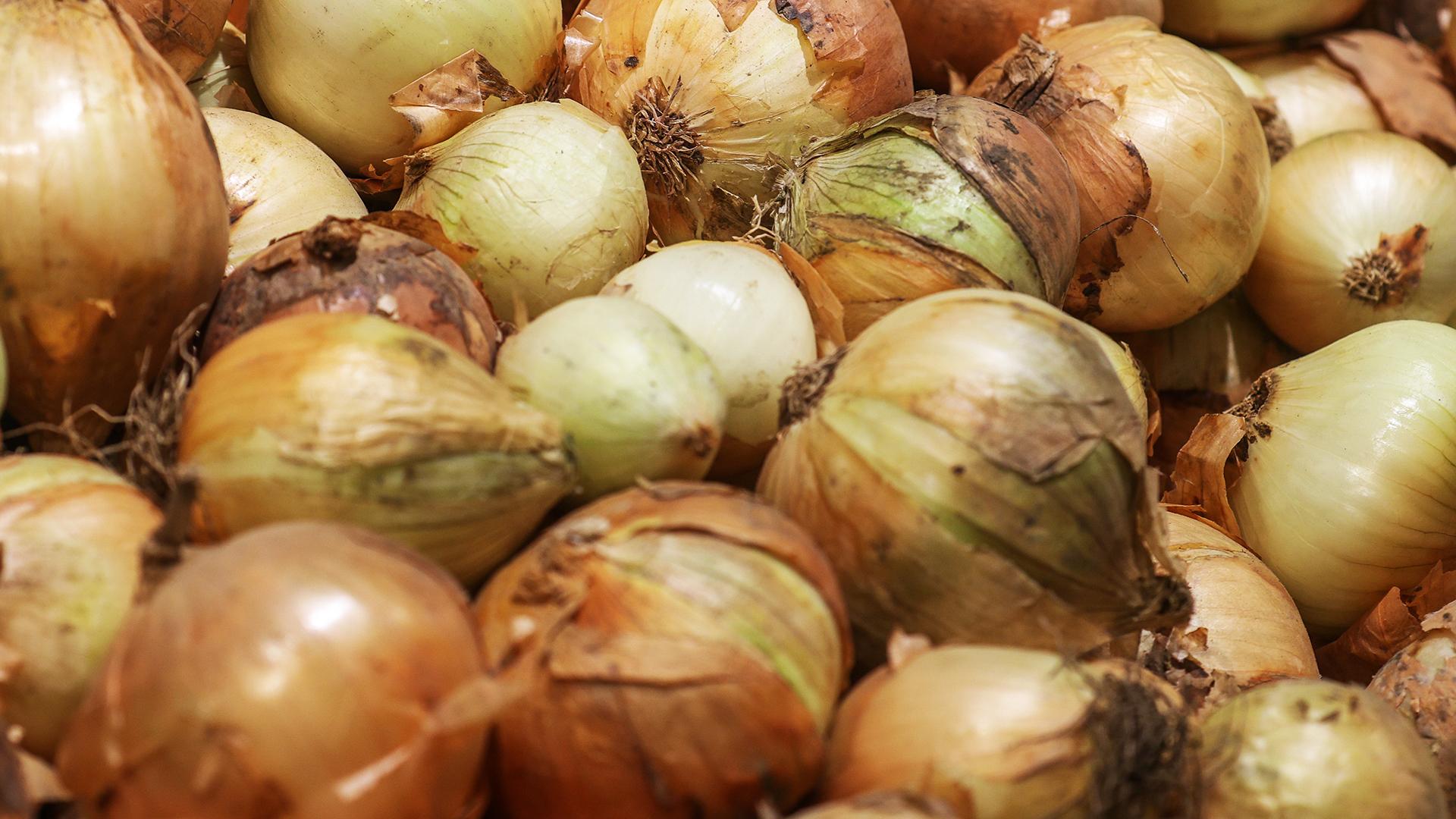 Фото: Bulkin Sergey/globallookpress.com