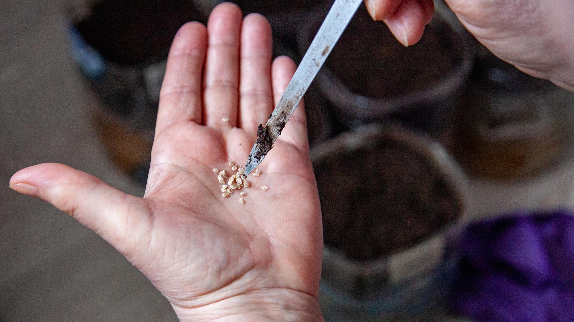 Фото: Oksana Korol/globallookpress.com