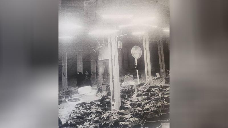 Фото: t.me/procspb