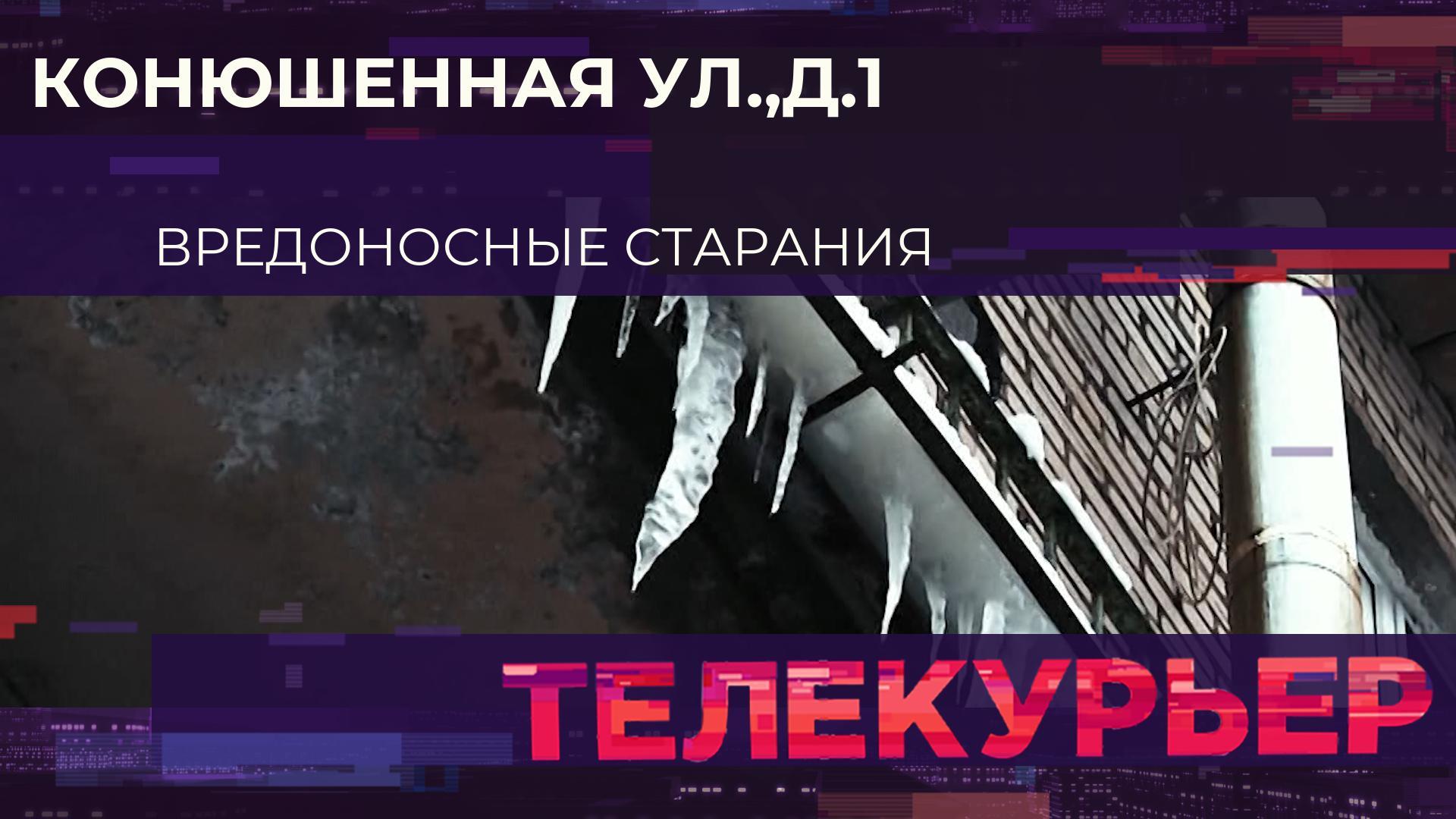 Телекурьер (29 января 2026)
