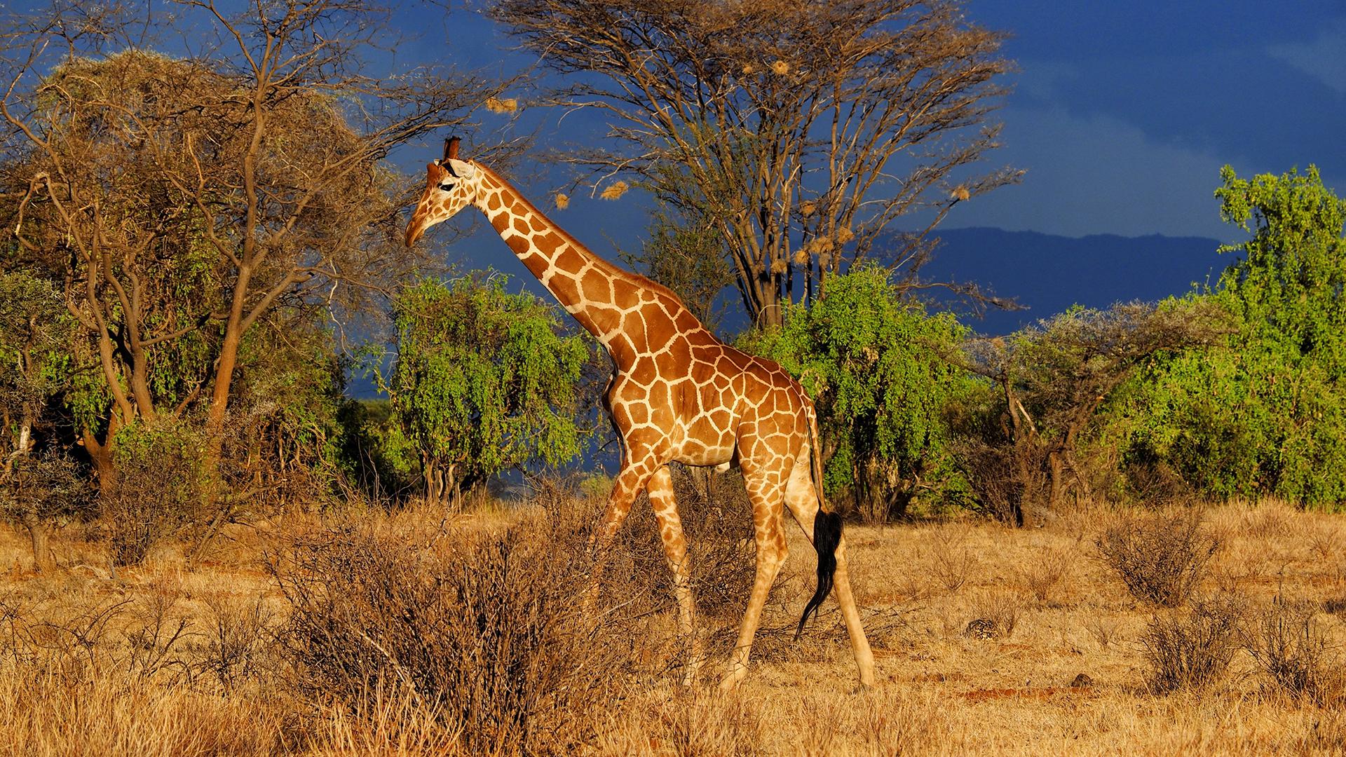 Фото: imago stock&people/globallookpress.com