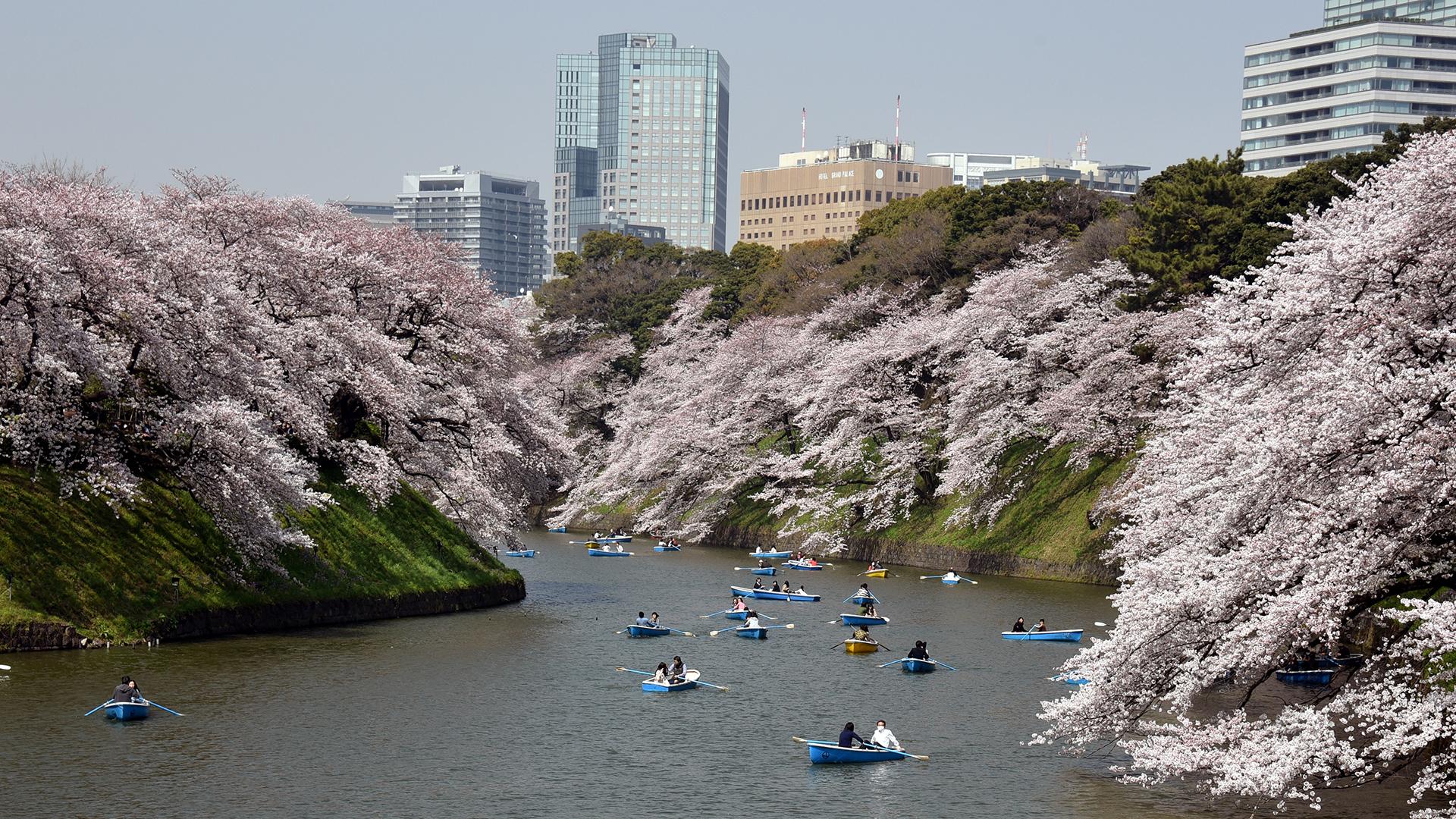 Фото: Natsuki Sakai/globallookpress.com